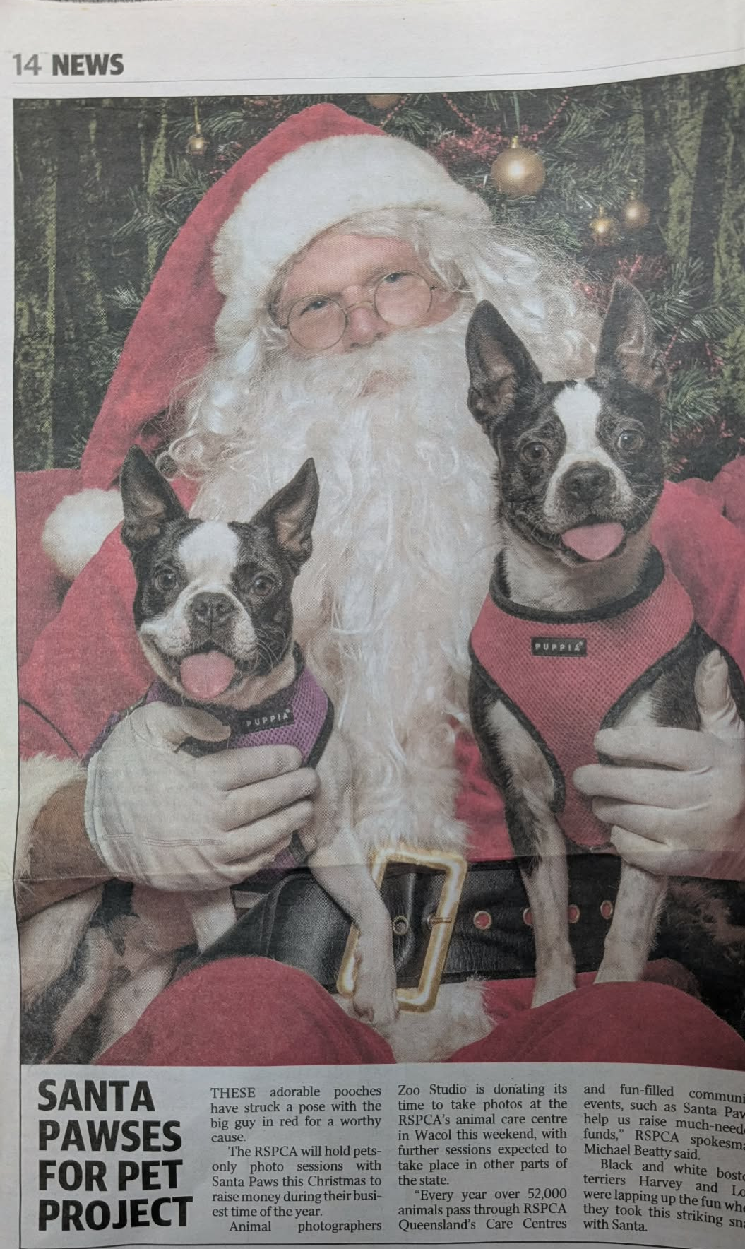 Newspaper feature Santa Pawses For Pet Project with a Book a Santa Santa and dogs at RSPCA Santa Paws