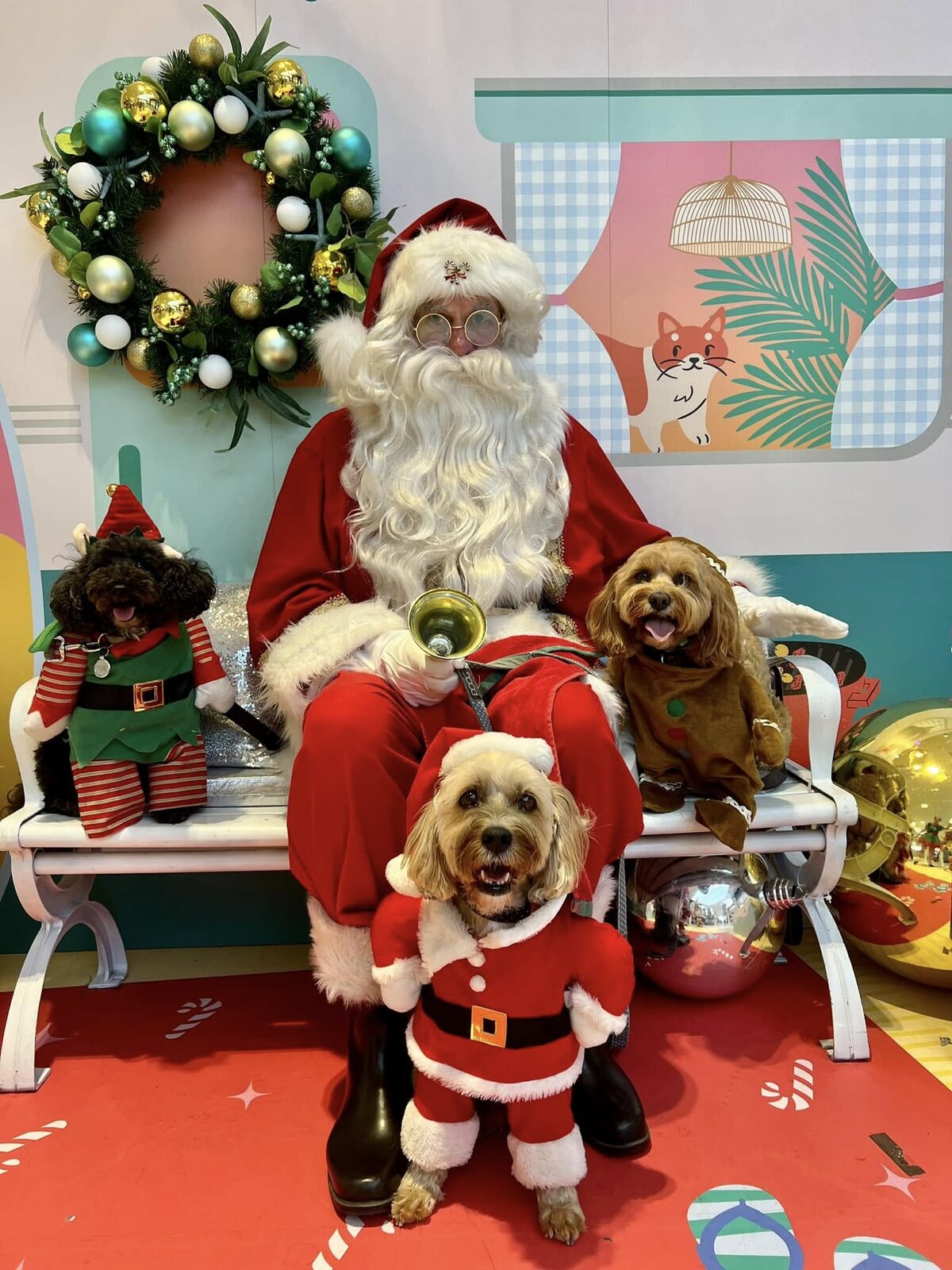 Santa pet photos with dogs