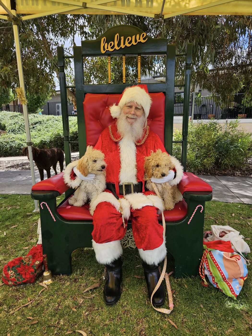 Santa with two dogs dressed in Santa outfits